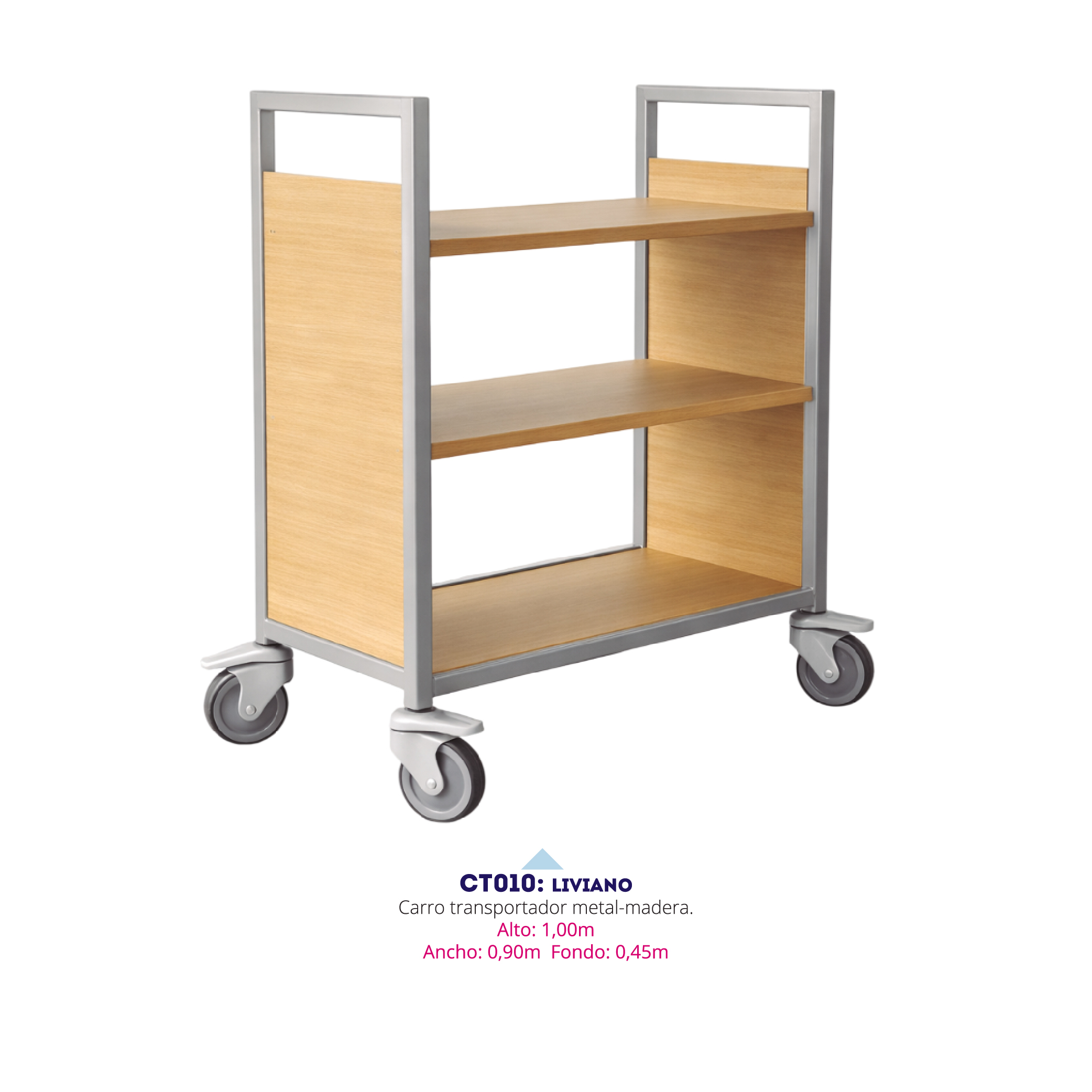 Carro Transportador Liviano — carros transportadores para instituciones educativas en Colombia (vista 2)